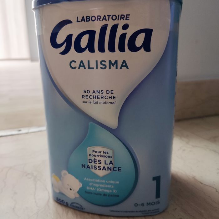 Gallia calisma 1 - photo numéro 2