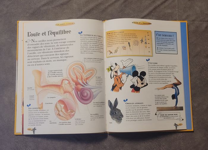 Le corps humain - Disney - photo numéro 6