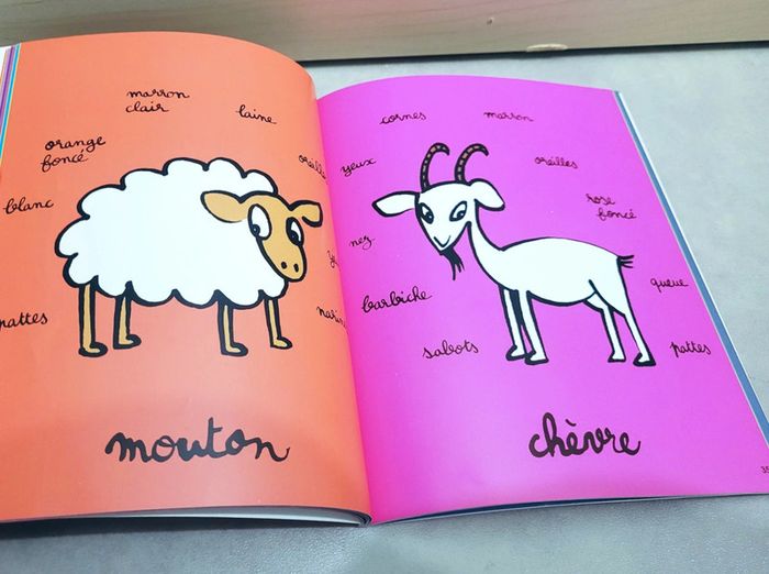 🌺 Livre (école des loisirs) : Maximots - photo numéro 2