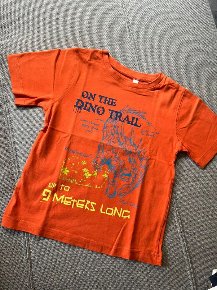 T-shirt garçon 4 ans Palomino