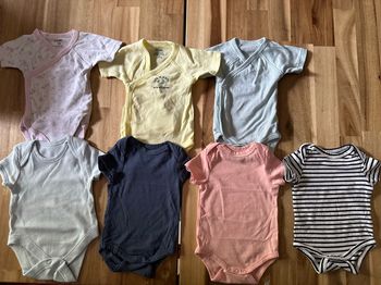 7 bodies