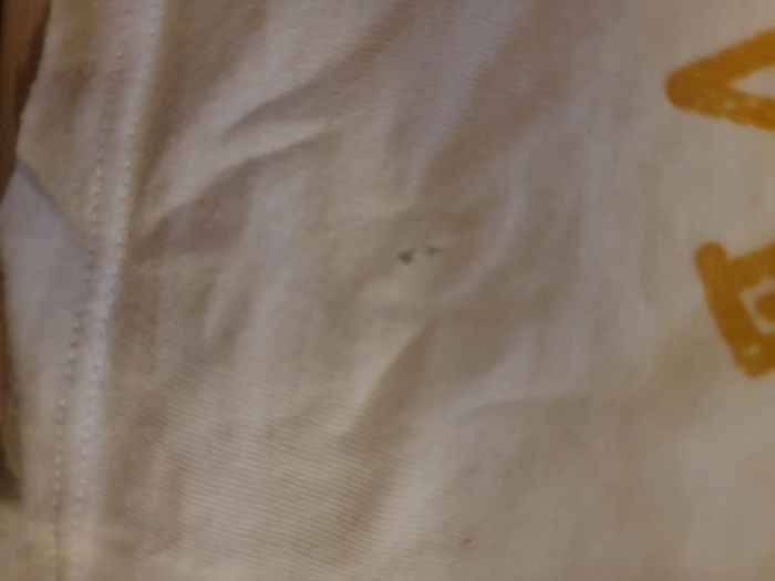 Lot de 7 tee-shirts manches courtes 6 mois - photo numéro 9