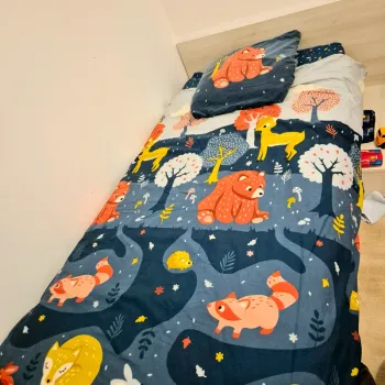 Parure de lit, drap et taie d’oreiller