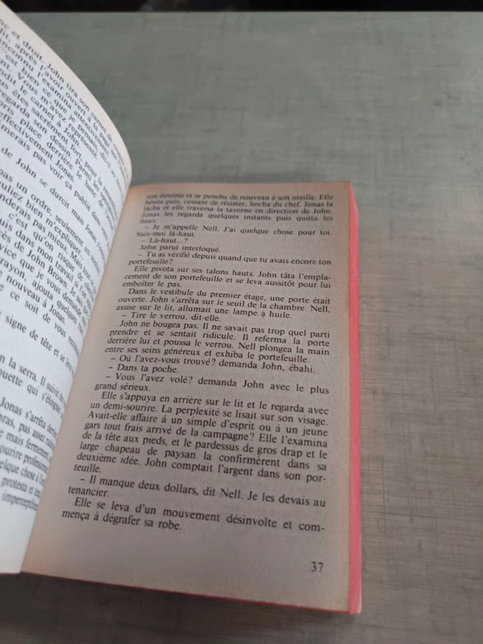 Livre les bleus et les gris - photo numéro 3