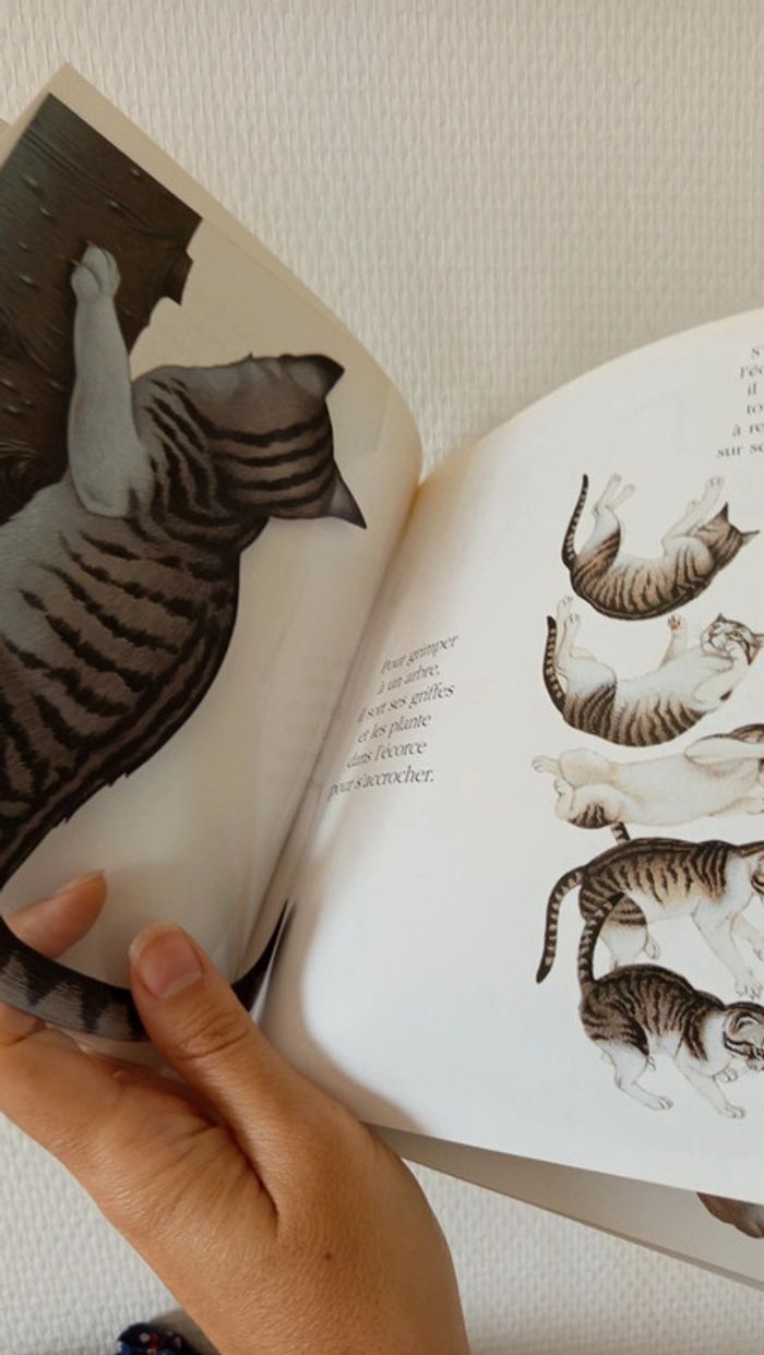 Livre interactif 🔸 les chats - photo numéro 5