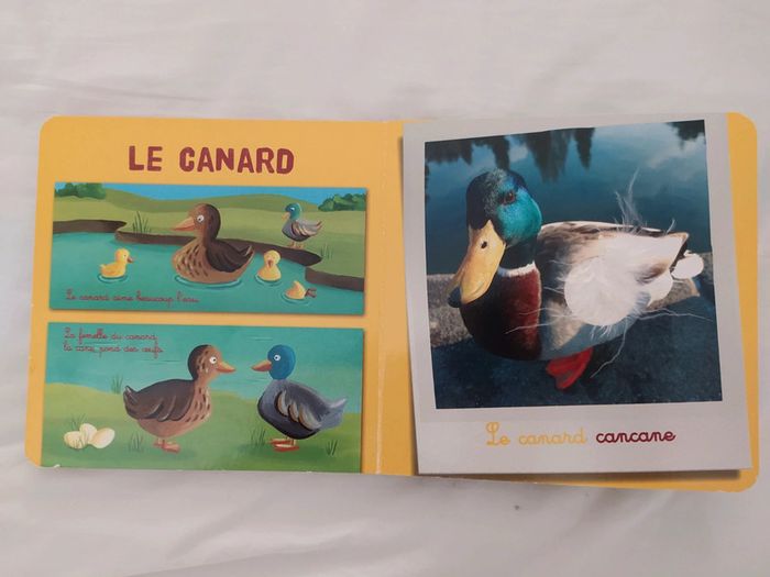 Livre bébé découverte par le touché Animaux de la ferme - photo numéro 5