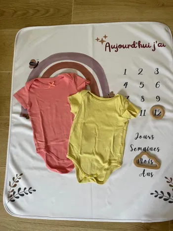 Lot de 2 bodies bébé fille – Taille 12 mois – Inextenso