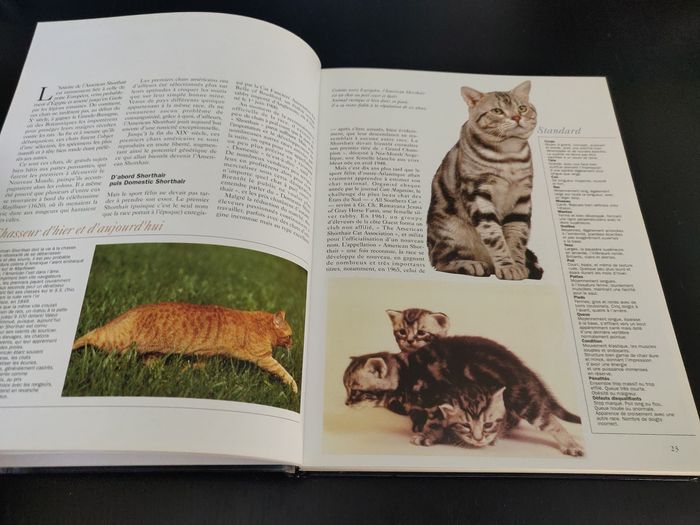 Livre 238 pages - Les chats de Race - photo numéro 8