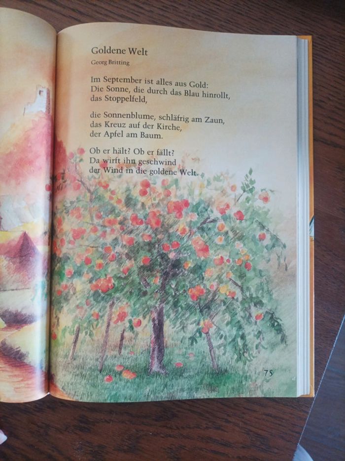 Auer Lesebuch 3 - photo numéro 11