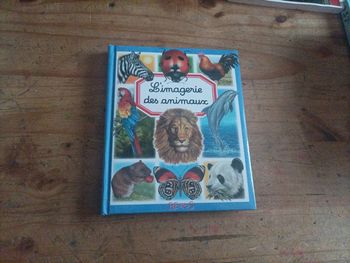 L'imagerie des animaux