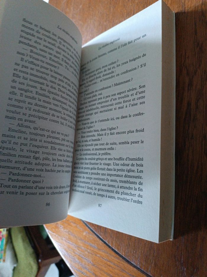 La rivière engloutie - photo numéro 6