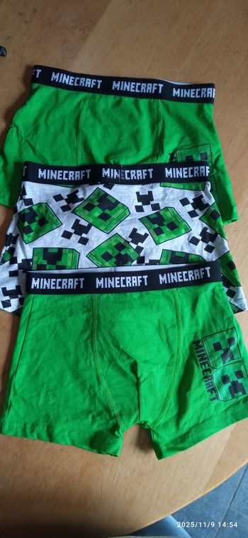 Boxer Minecraft