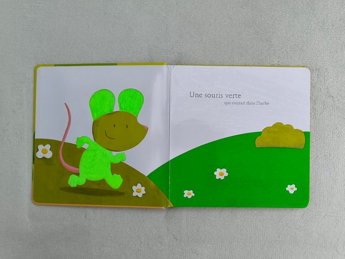 Livre Une souris verte Milan - photo numéro 4