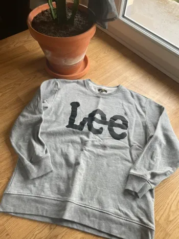 Sweat gris