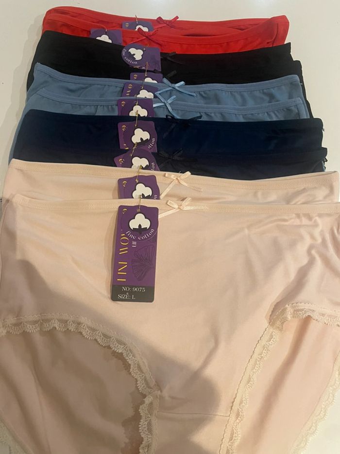 10 Culottes Dentelle Coton Stretch Fine Woman