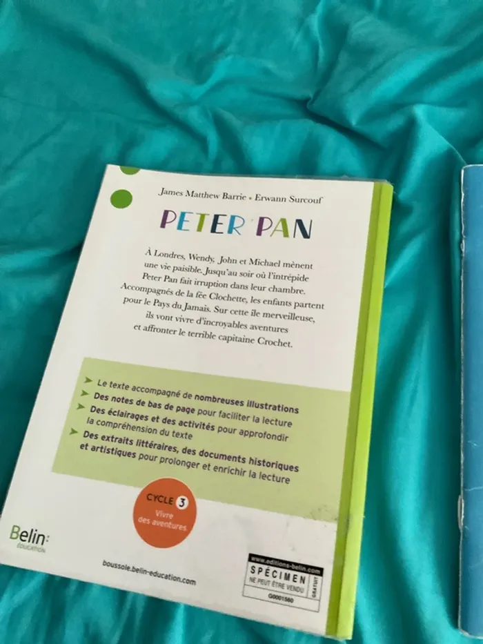 Livre et guide pédagogique enseignant Peter pan - photo numéro 4