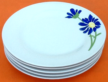 5 assiettes plates Porcelaine à décor floral