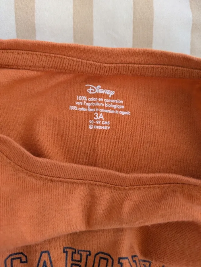 T-shirt Disney Pocahontas - Volants - 3 Ans - Coton Bio - (Légèrement taché) - photo numéro 4