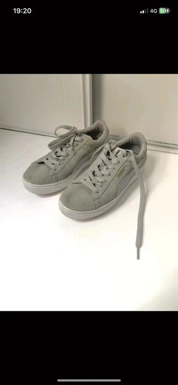 Puma kaki clair