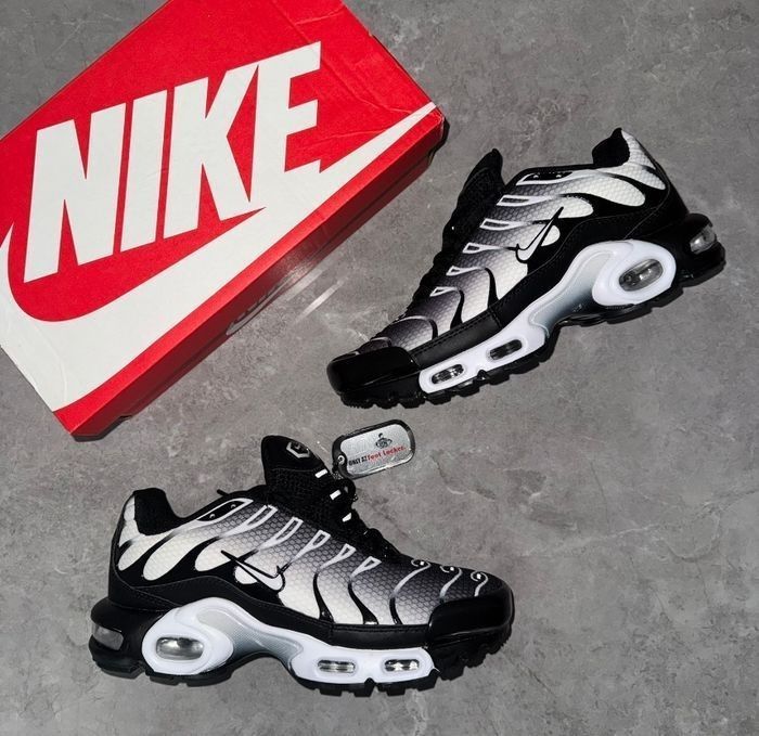 Nike tn noir gris blanc 38