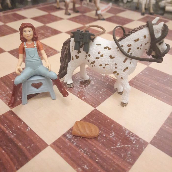 Schleich horse club - photo numéro 2