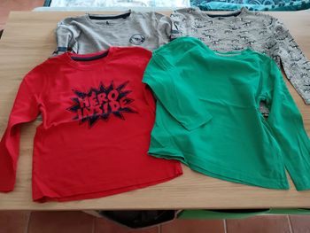 Lot 4 t shirt 2 4 ans Lupilu