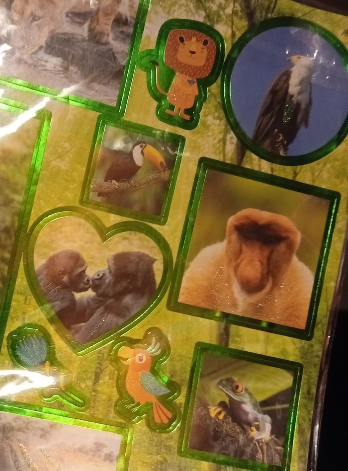 Autocollant animaux sauvages et animaux domestiques - photo numéro 2