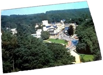 Carte postale  Station Thermale de Bagnoles-de-l' Orne (Orne) Vue générale