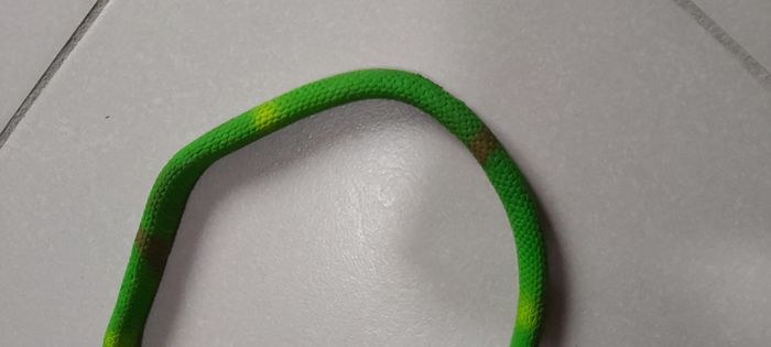 Serpent - photo numéro 5