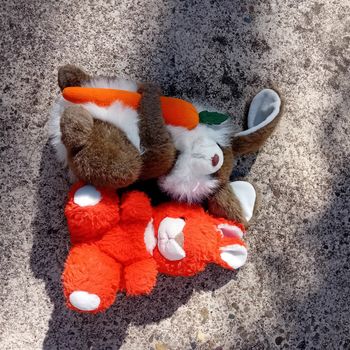 Peluches