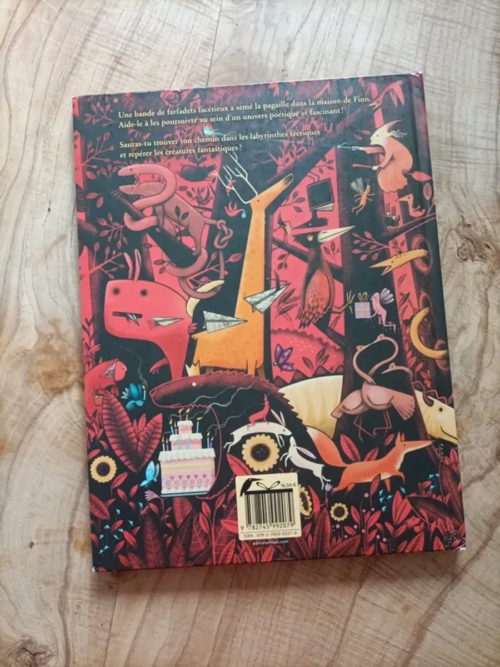 Livre jeu Flinn - photo numéro 2