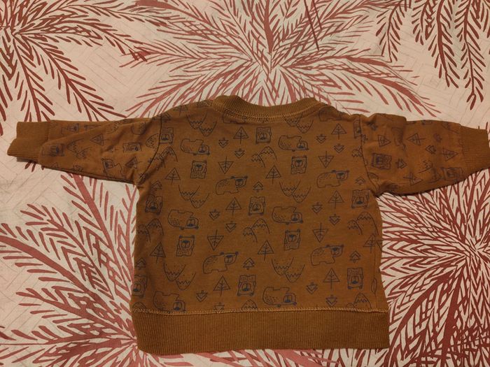 Pull ours - photo numéro 2