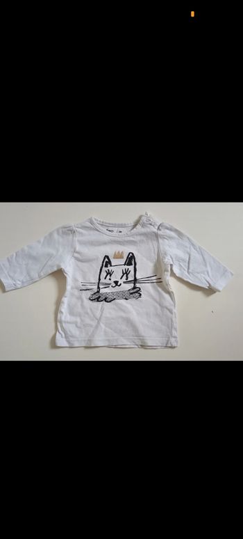 Polo chat gemo