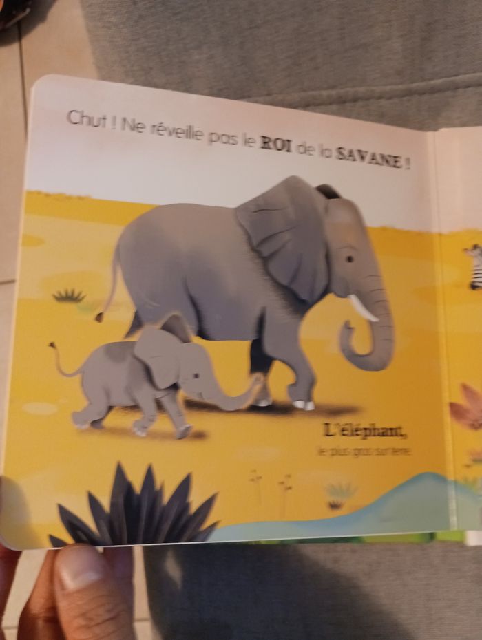 Livre bébé avec flaps a ouvrir ouvre et découvre les animaux neuf - photo numéro 5