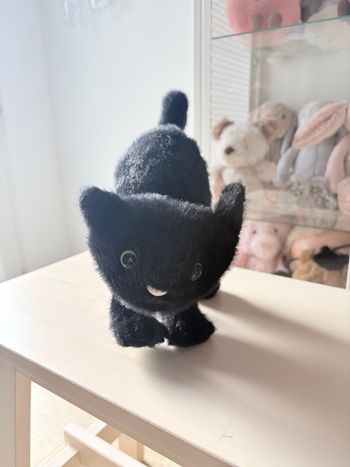 Jellycat Spookipaws chat noir / retired 