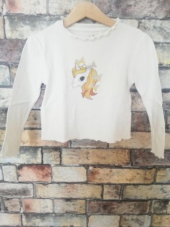 Joli tee shirt ML 🦄