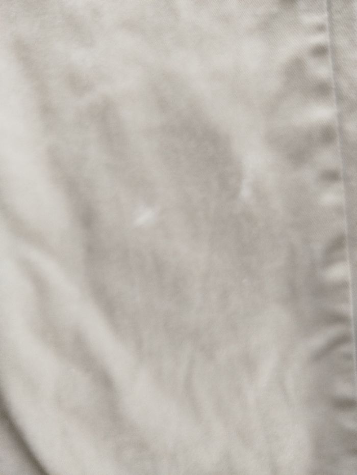 Pantalon Dickies - photo numéro 5