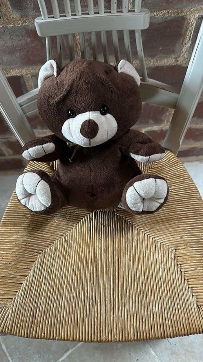 Jolie peluche ours marron
