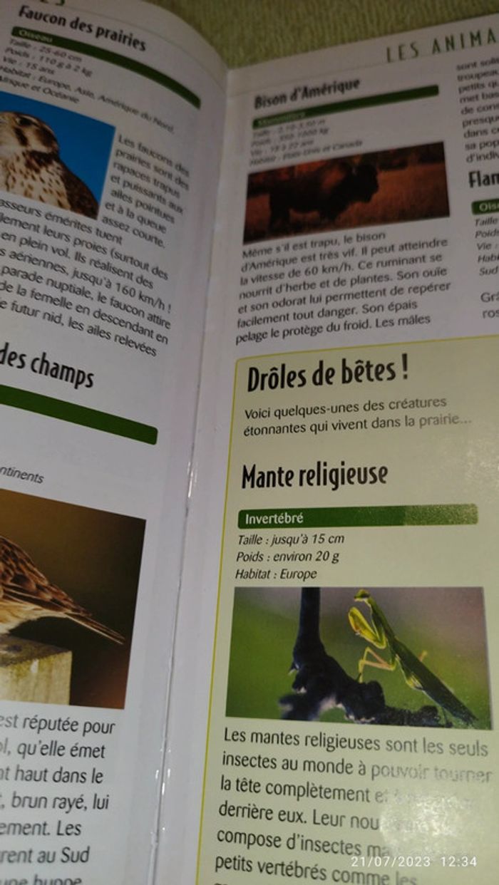 Livre les animaux sauvages - photo numéro 8