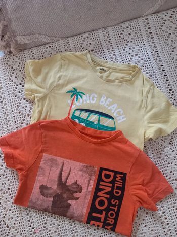 Lot 2 tee-shirt Gemo 6 ans