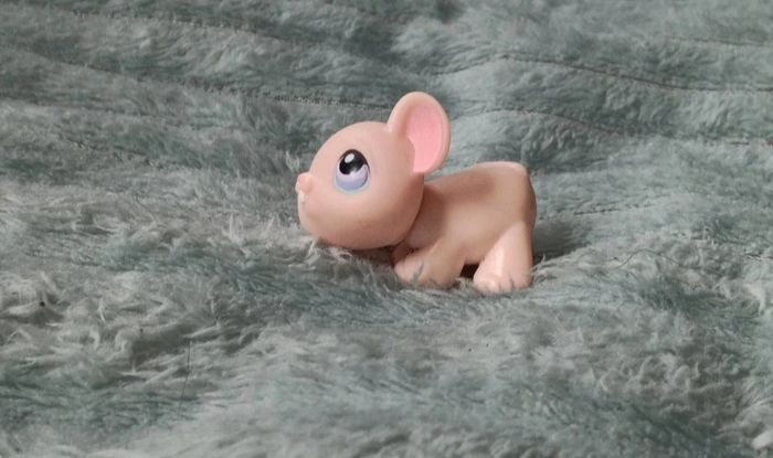 Petshop souris 103 - photo numéro 4