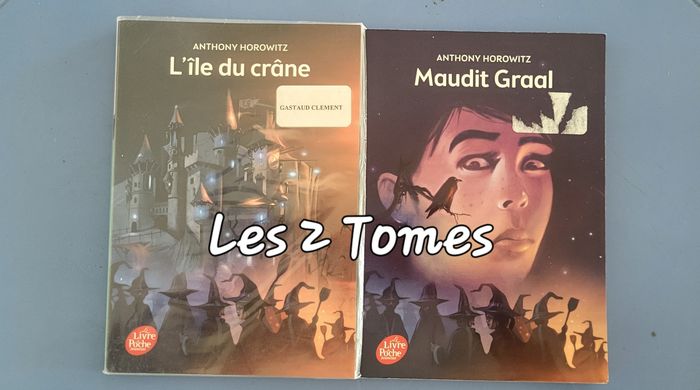 T1&2 David, L'île du crâne & Maudit Graal de Anthony Horowitz