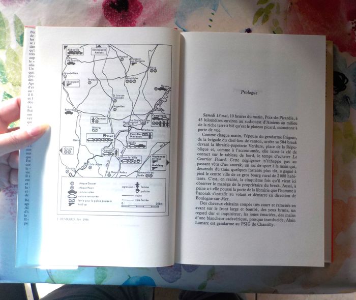 UN ASSASSIN AU-DESSUS DE TOUT SOUPCON par Yvan STEFANOVITCH Ed. France Loisirs - photo numéro 7