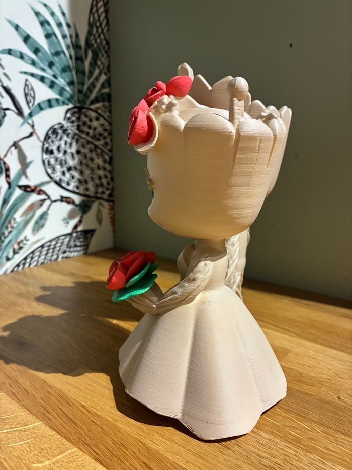 Groot et sa mariée - photo numéro 5