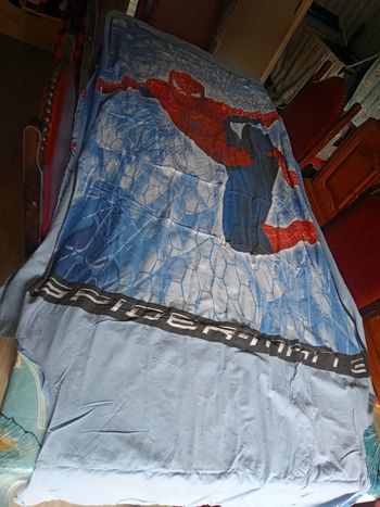 Housse de couette  1 Personne Spiderman 3  sans taie d oreiller