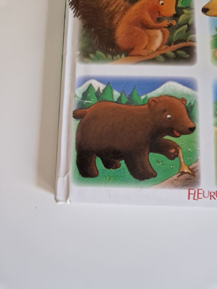 Lot de 3 livres la petite imagerie Fleurus - photo numéro 8