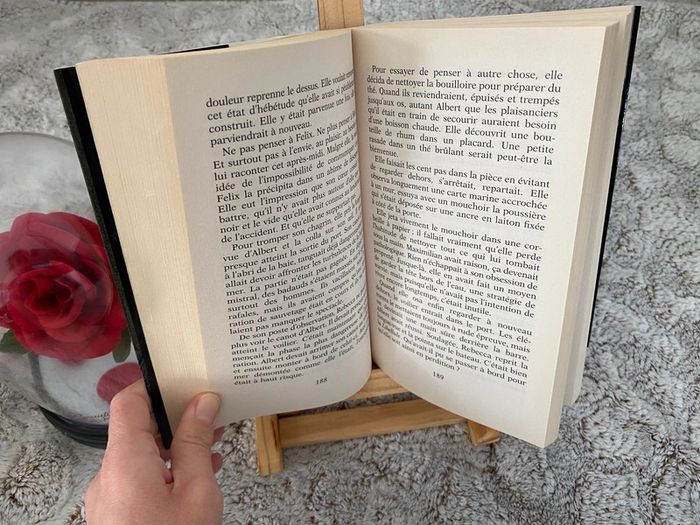 Livre l’invité de la dernière heure de Charlotte Link - photo numéro 4