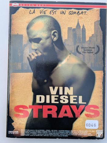 dvd strays