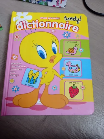 Livre mon premier dictionnaire enfant