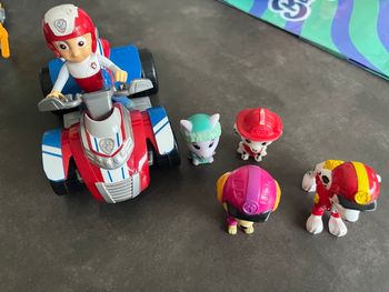 Rider pat patrouille